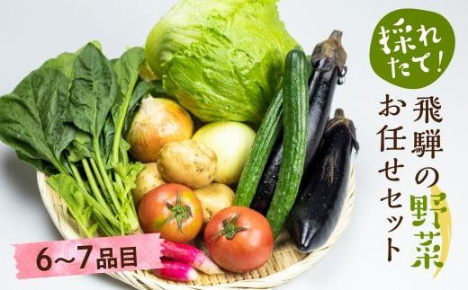 
                  【令和8年産】（2026年6月中旬～10月下旬順次発送予定）飛騨の野菜お任せセット 6～7品目 |  セット 野菜 夏野菜 秋野菜 やさい おまかせ お取り寄せ 新鮮 産地直送 飛騨産 夏 秋 サラダ 飛騨高山 あじかファミリー GN002-26
                