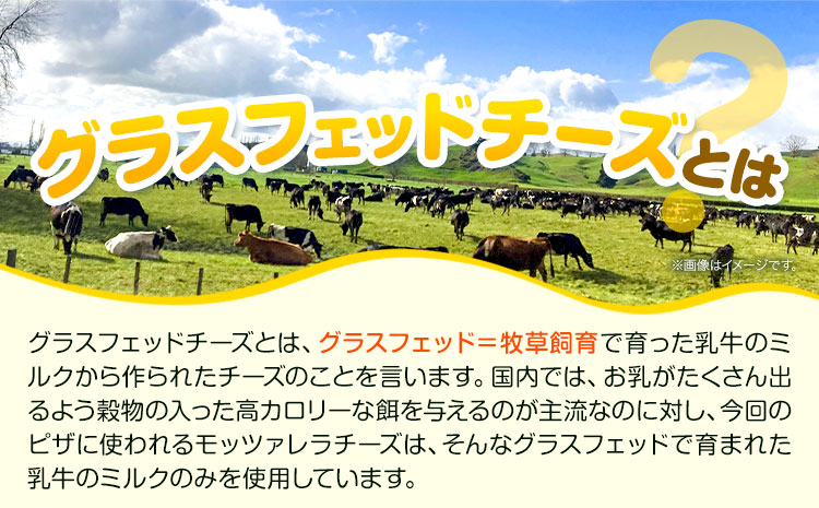 ピザ 冷凍ピザ セット グラスフェッドチーズの贅沢 ピザ 簡単 本格 マルゲリータ モッツァレラ 4種チーズ アグリフーディズム 3枚《60日以内に出荷予定(土日祝除く)》 北海道 名寄市 送料無料 