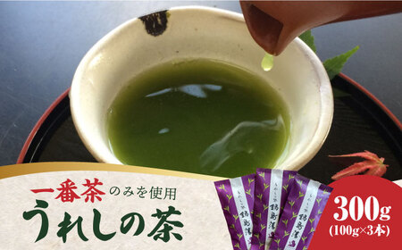 ＜一番摘み茶葉のみを使用！＞老舗茶屋 川原茶業の特別な嬉野茶（一番茶 かぶせ玉緑茶100g×3本入）  佐賀県/株式会社 川原茶業[41AIAV003]