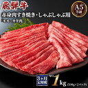 【ふるさと納税】[3ヶ月定期便][A5等級]飛騨牛赤身肉すき焼き・しゃぶしゃぶ用 1kg(500g×2パック)『モモ・カタ肉』 本巣市 [0347] 97000円