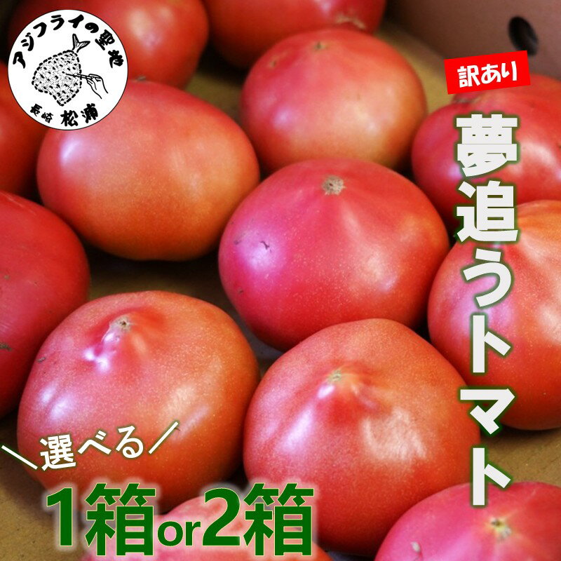 【ふるさと納税】訳あり！ご家庭用に大活躍 夢追うトマト 2.5kg～3kg 5kg～6kg 1箱 2箱 トマト とまと ジューシー リコピン 期間限定 松浦市 松浦産 大玉トマト 訳ありトマト ふるさと納税 野菜 ふるさと納税 トマト