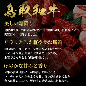 Y289 【和牛セレブ】鳥取和牛半頭分（12分割配送） 