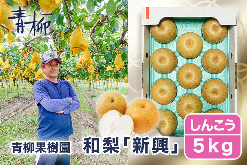 
            【2025年先行予約】青柳果樹園の和梨 新興 5kg (6～9玉)《11月上旬から出荷》しんこう フルーツギフト 加茂市 青柳果樹園
          