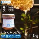 【ふるさと納税】【希少】にほんみつばちの 生 ハチミツ 110g×1本 糸島市 / kibitoa[AIN004] 国産 蜂蜜10000円 1万円