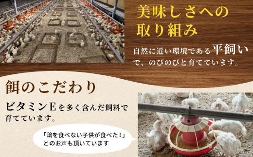 愛知県産 銘柄鶏 奥三河どり 半羽 小分け 約 0.9ｋｇ 鶏肉セット 国産 冷凍 生 生鶏 チキン クリスマス パーティー バーベキュー BBQ アウトドア キャンプ ダッチオーブン チキン 鶏肉 鶏 高品質 平飼い -214