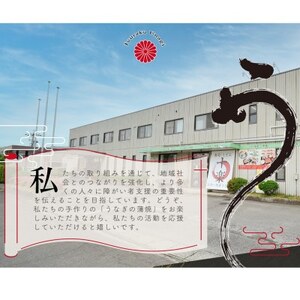 炭火手焼き☆三河一色産 ひつまぶし きざみうなぎ蒲焼  6人前【配送不可地域：離島】【1588973】