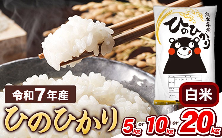 
                   令和7年産  白米 ひのひかり 《内容量をお選びください》5kg 10kg 20kg  熊本県産 ふるさと納税 精米 ひの 米 こめ ふるさとのうぜい ヒノヒカリ コメ お米 おこめ 《7-14日以内に出荷(土日祝除く)》
                