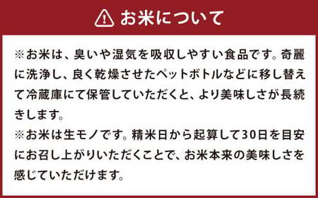 【令和7年産】 七城のお米 ぴかまる 5kg 米 白米 精米 こめ コメ お米 ごはん ご飯 熊本県産 《10月中旬頃より出荷》