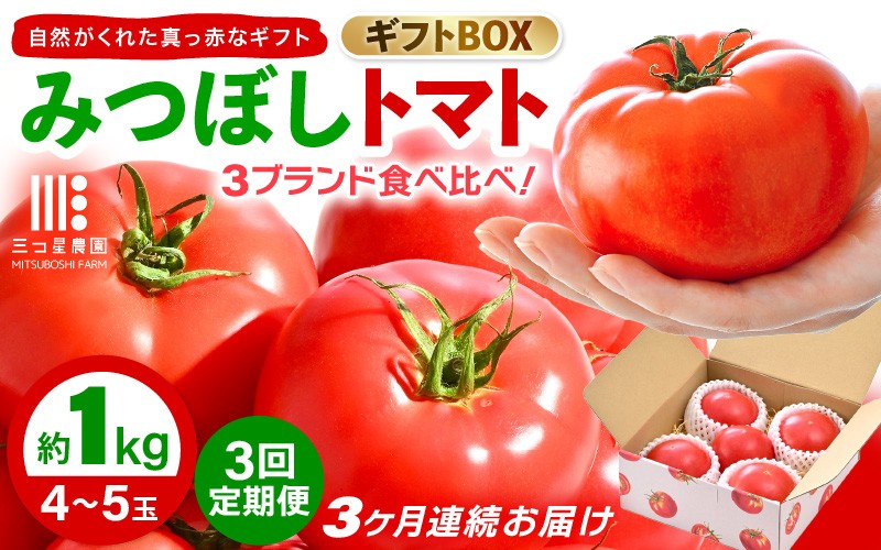 
                  定期便 ≪3ヶ月連続お届け≫ みつぼしトマト☆3ブランド食べ比べ！ 約1kg × 3回 【とまと トマト 野菜 生野菜 新鮮 産地直送 贈答 ギフト 国産】 [A-2609]
                
