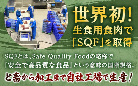 熊本 馬肉 馬肉ハンバーグ 8個（約130g/個）ハンバーグ ハンバーグ ハンバーグ ハンバーグ ハンバーグ [AYAF098]