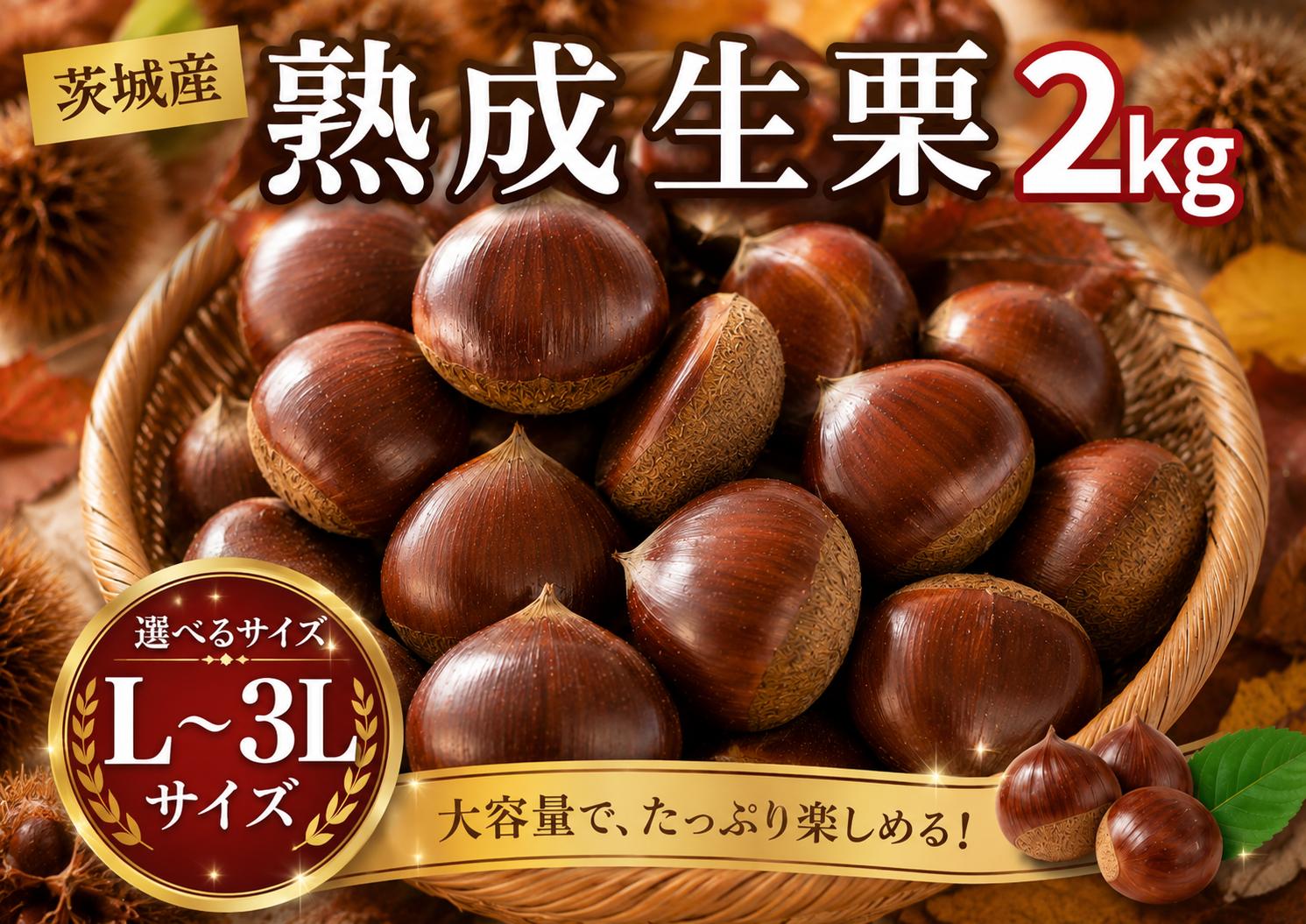 
                  【先行予約】 栗 生栗 2kg 大粒 選べる大きさ L / 2L / 3L 令和8年産 完熟 栗 くり クリ kuri 栗ごはん 栗スイーツ 2026年度産 国産 味覚 生ぐり なまぐり 和栗 わぐり 先行受付 秋の味覚 マロン 生くり 甘栗 焼き栗 ゆでぐり 料理 和菓子 炊き込みご飯 ごはん 栗きんとん 数量限定 贈答 ギフト 数量限定 旬  秋 冬 正月 おせち 茨城県 筑西市 関東
                