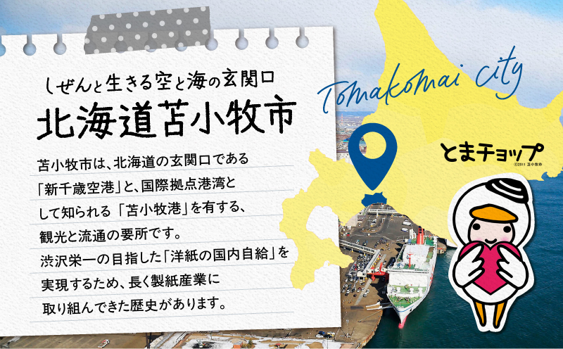 北海道苫小牧市応援寄附金（返礼品なし）1,000円　T000-001-01