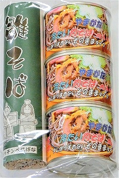 かほく冷たい肉そばＣ３セット