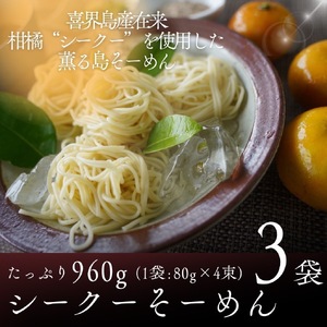 【喜界島在来柑橘を使用した】シークーそーめん ３袋 計960g