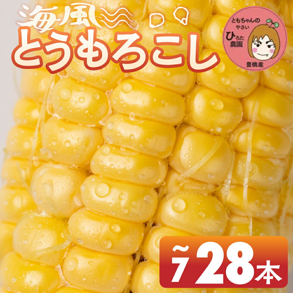 【ふるさと納税】≪先行予約≫ 令和8年産（2026年収穫）黄色とうもろこし 7本 14本 28本 直売所で大人気！ 愛知県 豊橋市 夏野菜 野菜 ミネラルたっぷり 海風そだち 潮風 BBQ 家族で 大容量 豊橋 ともちゃんのやさい