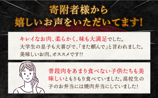 【 訳あり 】【6回 定期便 】 長崎和牛 焼肉用（ ロース ・ バラ ） 計600g（各約300g） ＜スーパーウエスト＞ [CAG209]