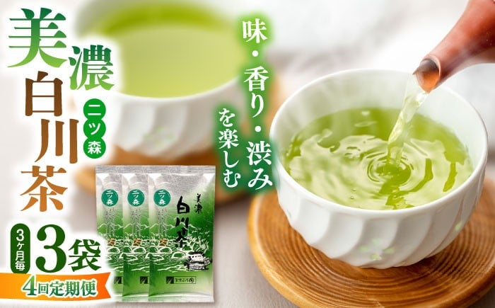 
            【4回定期便】白川茶「二ッ森」 3パックセット お茶 緑茶 茶葉 白川町 / ますぶち園 [AWAC001]
          