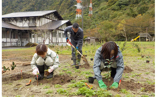 アガノユキツバキハンドクリーム　3本セット