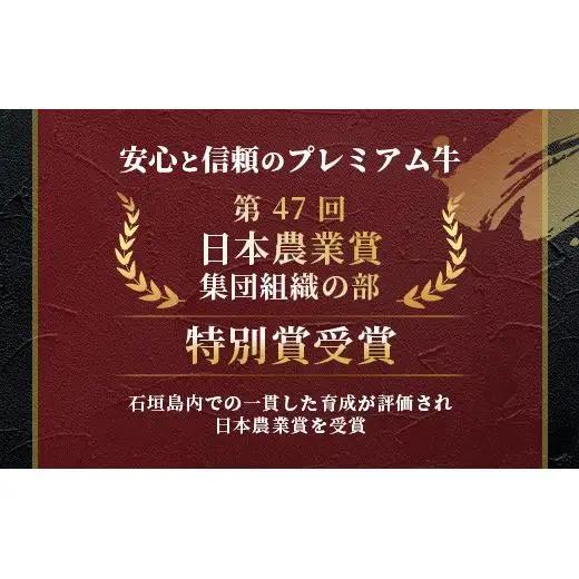 石垣牛100% ハンバーグ 100g×6個