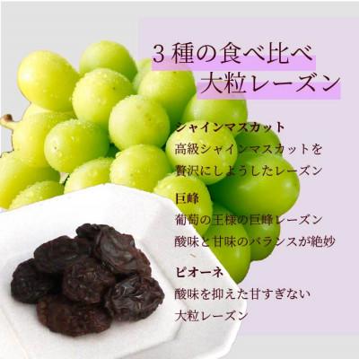 ふるさと納税 山梨県 33種の葡萄で作ったロゼワイン720mlとレーズン3種食べ比べ(シャインマスカット、巨峰、ピオーネ) |  | 02