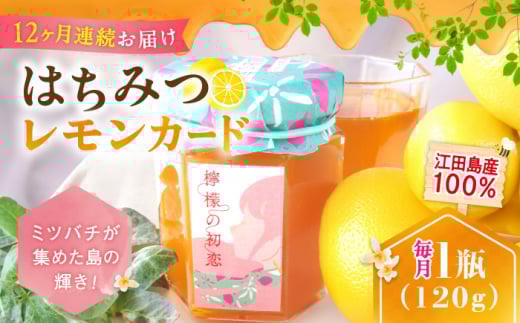 【全12回定期便】江田島産100％ はちみつ レモンカード『檸檬の初恋』120g×1本 れもん ハチミツ ハニー バター 蜂蜜 広島県 江田島市/はつはな果蜂園 [XCD014] ハチミツ 国産蜂蜜 国産はちみつ 蜜 蜂蜜 はちみつ 人気 ジャム スプレッド クリーム バター パン 食パン ホットケーキ ギフト お取り寄せ
