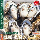 【ふるさと納税】【先行予約】カキ 殻付き 2年貝 約2.8kg（28個前後） 佐呂間産 ［3回定期便］（2024年10月中旬より発送） 【 ふるさと納税 人気 おすすめ ランキング 牡蠣 カキ かき 貝 殻付き ギフト 贈答 冷蔵 定期便 オホーツク 北海道 佐呂間町 送料無料 】 SRMA004