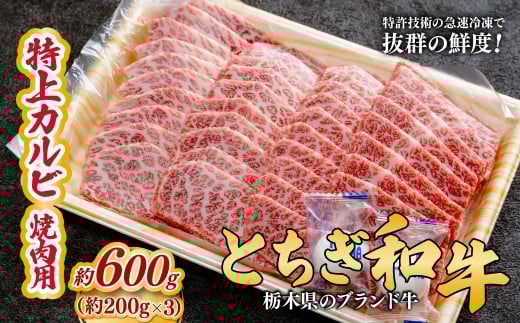 とちぎ和牛の特上カルビ 焼肉用 600g（200g×3）【栃木県共通返礼品】 |  牛肉 肉 お肉 カルビ 特上 バラ肉 焼肉 産地直送 国産 国産牛 和牛 赤身 霜降り 希少 旨味 旨み 熟成 急速冷凍 テクニカン テクニカン社 スキンパック 真空パック 真空包装 コトラミートカルチャ 栃木県 茂木町