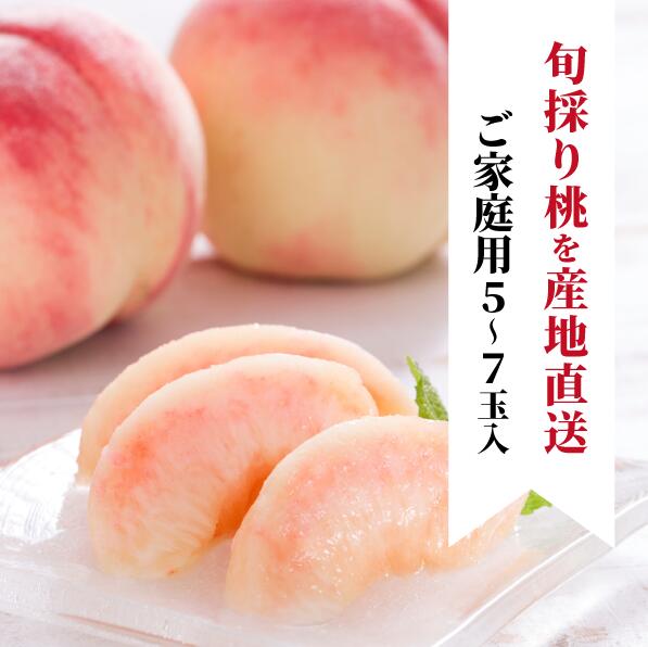 【ふるさと納税】桃 ご家庭用 5-7玉 岡山県産 品種おまかせ 旬取り 真庭市 / フルーツ 果物 先行予約 桃 もも モモ 数量限定 送料無料 産地直送 期間限定 白桃 川中島白桃 くだもの あかつき 昂紀 夏かんろ あかつき 美月 さくら白桃 おどろき 桃水 西王母