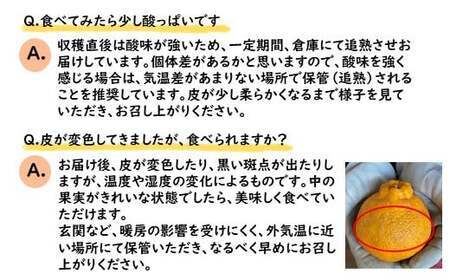 ≪ご家庭用≫ 不知火 約3kg