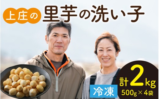 【先行予約】皮むきいらず、煮っ転がしに最適！上庄の里芋の洗い子【冷凍】500g × 4　計2kg【10月中旬より順次発送】