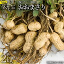 【ふるさと納税】とれたて新鮮 生落花生 おおまさり 2kg 殻付き 落花生 八街 おおまさり 千葉県 生