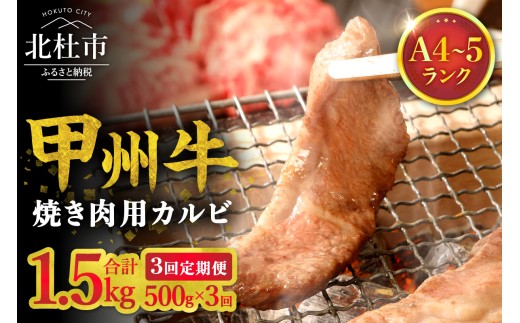 【3ヶ月定期便】山梨県北杜市産 甲州牛 黒毛和牛 焼肉用カルビ 500g　牛肉 カルビ 定期便 3回 国産 山梨県 北杜市産 肉 焼き肉 A4・5ランク級
