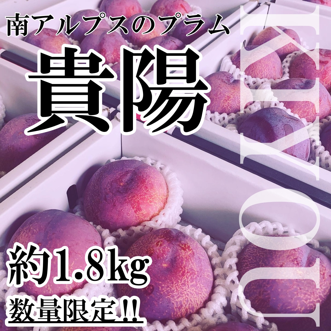 
            ＜2025年発送分先行予約＞山梨県南アルプス市産　高級すもも　貴陽　約1.8ｋｇ　6～9玉入り ALPAH019
          