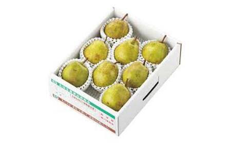 2025年産 先行受付 中山町産 高糖度 ラ・フランス 約2kg 特秀品 5～8玉 果物 フルーツ 山形県 中山町 F4A-0472