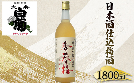梅酒 大典白菊 日本酒仕込 香春梅 梅酒【1800ml×1本】