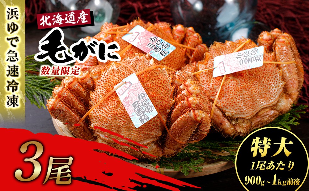 
                  【特大】北海道産 冷凍ボイル毛ガニ (900g-1kg前後) 3尾 蟹 かに カニ 毛ガニ
                