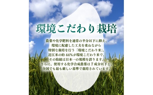 【先行予約】 令和8年産 新米 きらみずき 5kg 環境こだわり栽培 新米 ひこにゃん米 魚のゆりかご水田 精米 白米 米 こめ ごはん ご飯 弁当 おにぎり 令和8年 R8年 10月 発送 滋賀 彦