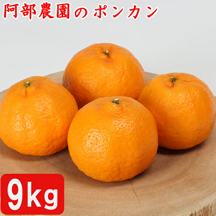 【ふるさと納税】阿部農園の「ポンカン 約9kg」 先行予約 果物 フルーツ みかん ＜112-005＞
