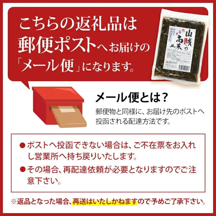 辛子高菜 240g×2パック（480g） 山賊の高菜