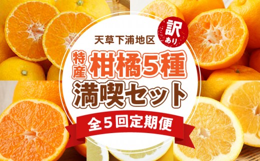 
                  S040-T04A_ 【定期便5回】天草 下浦地区特産の柑橘5種満喫セット(訳あり）【先行受付】
                