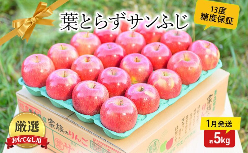 
                  【 1月発送 】 糖度13度以上 おもてなし用 家庭用 葉とらず サンふじ 約 5kg 【 青森りんご 】 果物 フルーツ デザート 食後 青森県産 産地直送
                