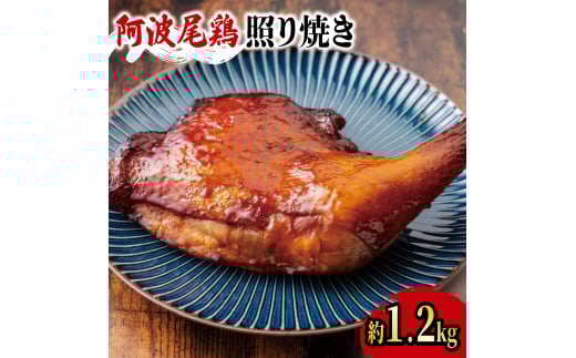 阿波尾鶏 鶏肉 照焼ローストチキン 2本（約1.2kg） 鳥肉 とりにく 鶏 鳥 とり チキン モモ もも肉 スパイス 焼き鳥 焼鳥 串カツ くしかつ ロースト 地鶏 阿波尾鶏 ブランド 高級 ギフト プレゼント 贈答 お取り寄せ グルメ クリスマス 誕生日 記念日 冷凍 真空パック 小分け 個包装 送料無料 徳島県 阿波市 有限会社阿波食品