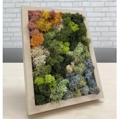 ふるさと納税 大和市 スカンディアモス アートワーク　枠カラー:バーチ調(19.6cm×14.8cm×H4〜5cm)