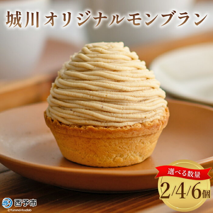 栗 スイーツ ＜城川オリジナル モンブラン 6個入り＞ マロン くり クリ 国産 和栗 ペースト クリーム 渋皮煮 スポンジケーキ 生クリーム チーズ バター タルト メニークエスト 愛媛県 西予市【冷凍】『2か月以内に順次出荷予定』ふるさと納税モンブラン