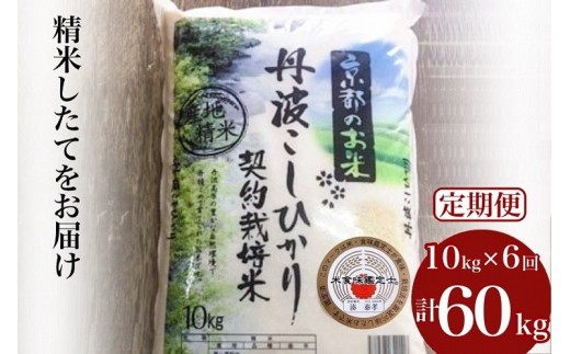 【毎月1回お届け（10月発送）】【9月より新米】【定期便】令和7年産 令和8年産 京都丹波米 こしひかり10kg×6回 計60kg◇◆◇ 米 6ヶ月 白米 6回定期便 ※精米したてをお届け コシヒカリ 定期便 精米定期便 京都丹波米定期便 こしひかり米定期便 米 精米定期便 令和7年産米定期便 令和8年産米定期便 6ヶ月米定期便 定期購入