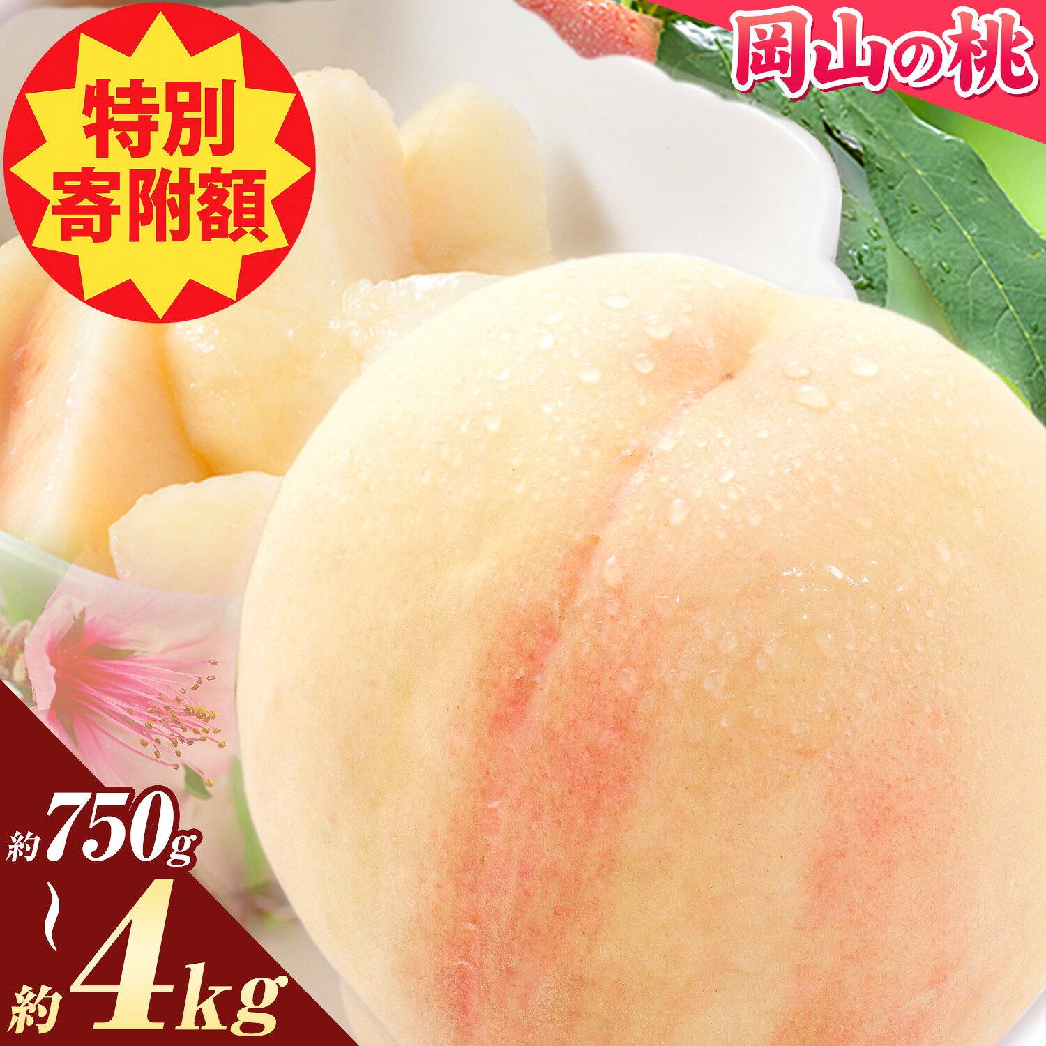 【ふるさと納税】＼豊作につき特別寄附額／ 今なら今年発送 すぐ届く！ 岡山の桃 750g 1kg 2.6kg 4kg おすそわけ便《1-5営業日出荷》 訳あり 白桃 フルーツ 果物 もも 果物 岡山 笠岡市 清水白桃 数量限定 期間限定 お試し 冷蔵 厳選 定期便 先行予約 送料無料