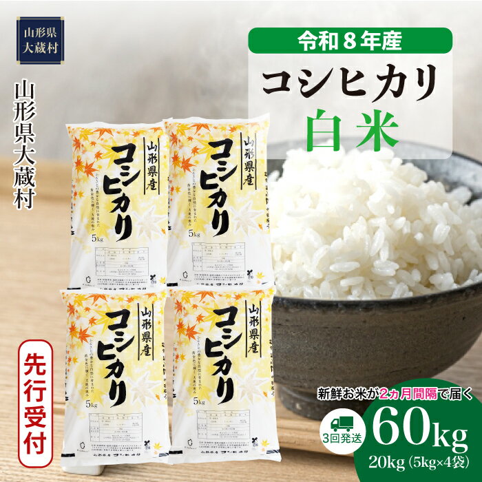 【ふるさと納税】＜令和8年産米先行受付＞ 大蔵村 コシヒカリ ＜白米＞ 定期便 60kg （20kg×2ヶ月間隔で3回お届け）
