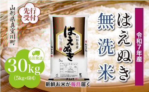 ＜令和7年産米先行受付＞ 真室川町産 はえぬき 【無洗米】 定期便 30kg （5kg×1ヶ月間隔で6回お届け）＜配送時期指定可＞