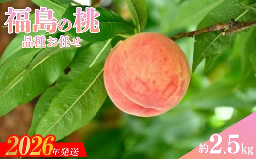 No.3346 福島の桃 品種お任せ 約2.5kg(8～10玉)【2026年8月下旬～9月上旬発送予定】