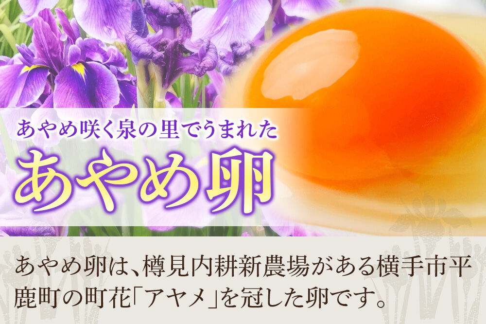あやめ卵 50個入 【農場HACCP認証】 【JGAP認証】 [50ヶ 50ケ 50コ 玉子 タマゴ たまご 鶏卵]